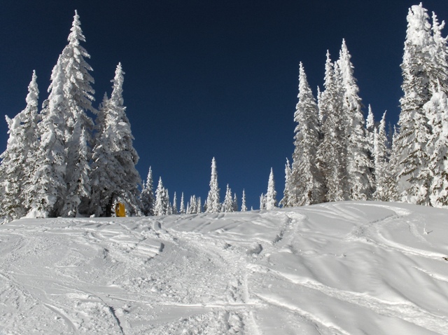 Wintersport Newsletter  Januar 2026